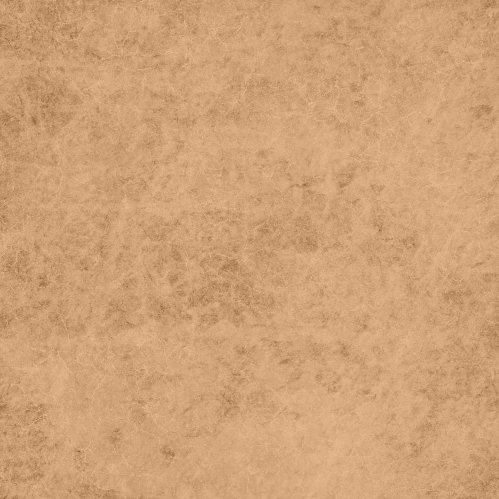 Portrait Backdrops Aged Textured Brown Photography Backdrop GTY2-152