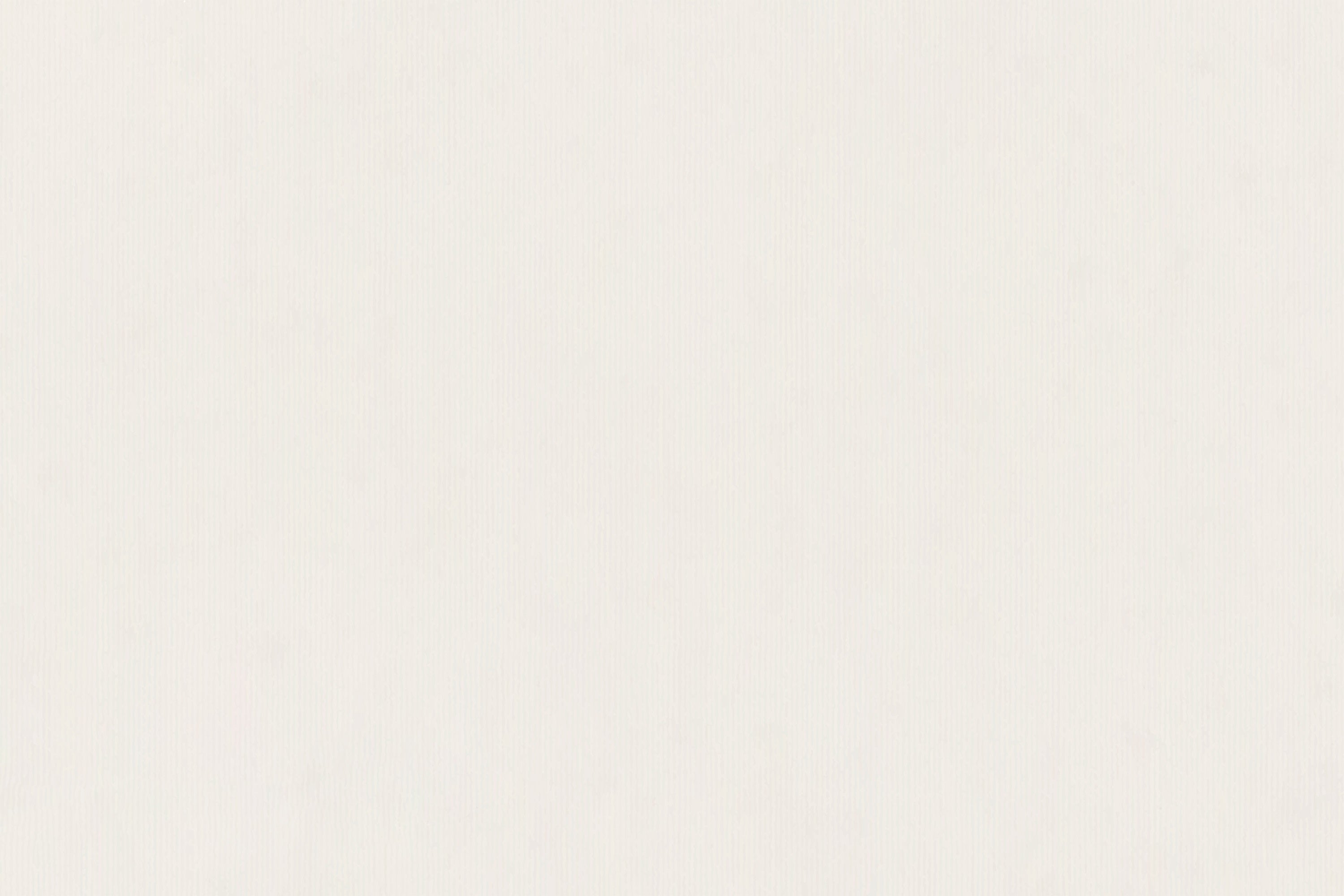 White Backdrop For Photos Warm White Creamy Backdrop GTY2-155
