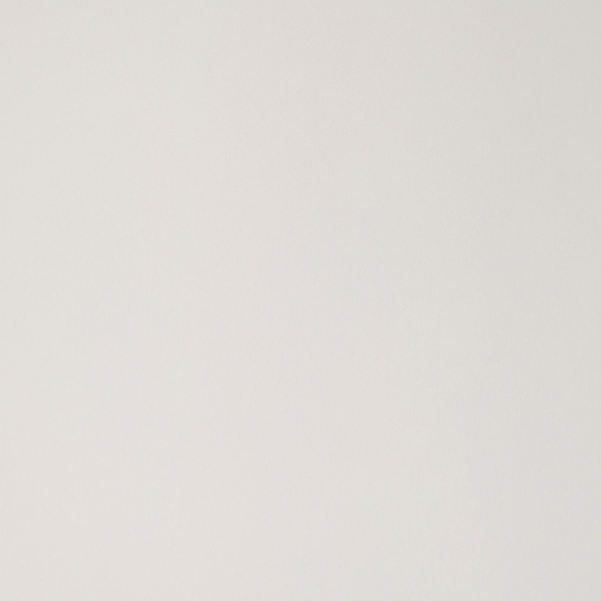 White Photography Backdrop Butter Soft Ivory Backdrop GTY2-156