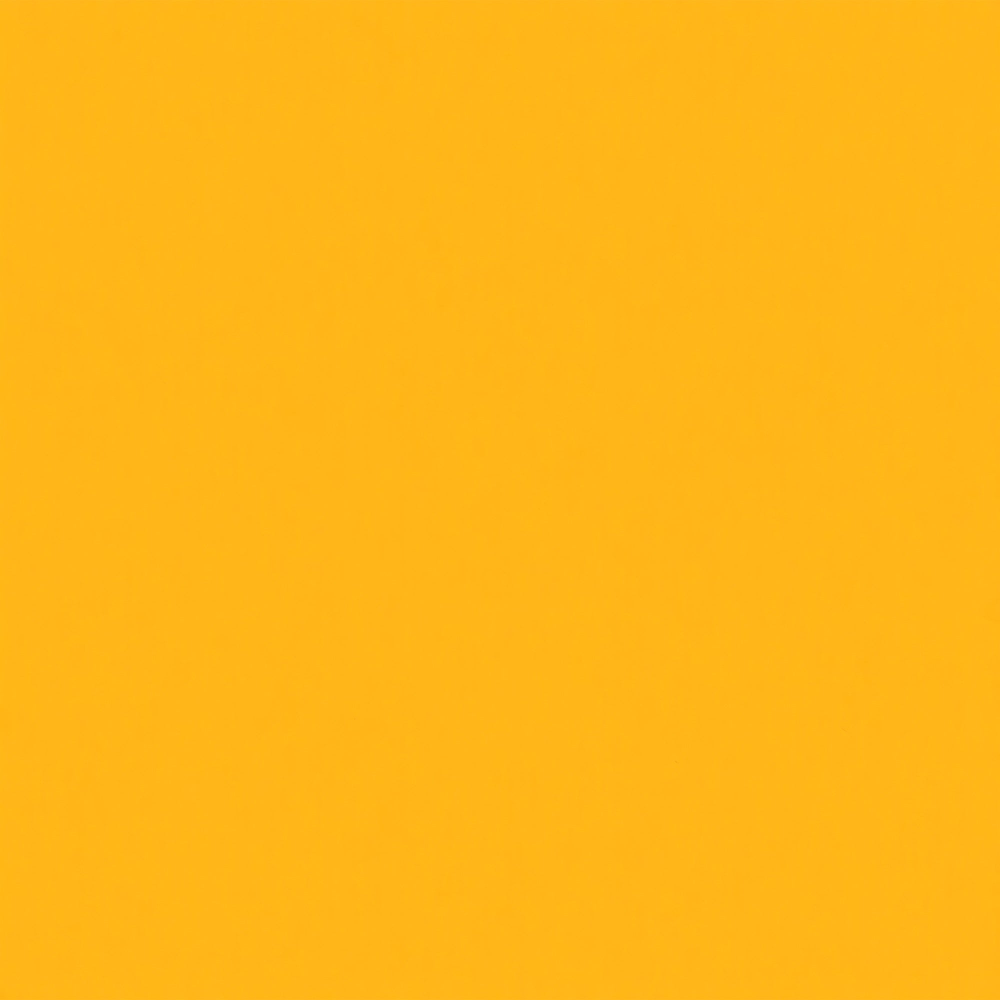 Backdrop Solid Color Warm Honey Yellow Backdrop GTY2-168