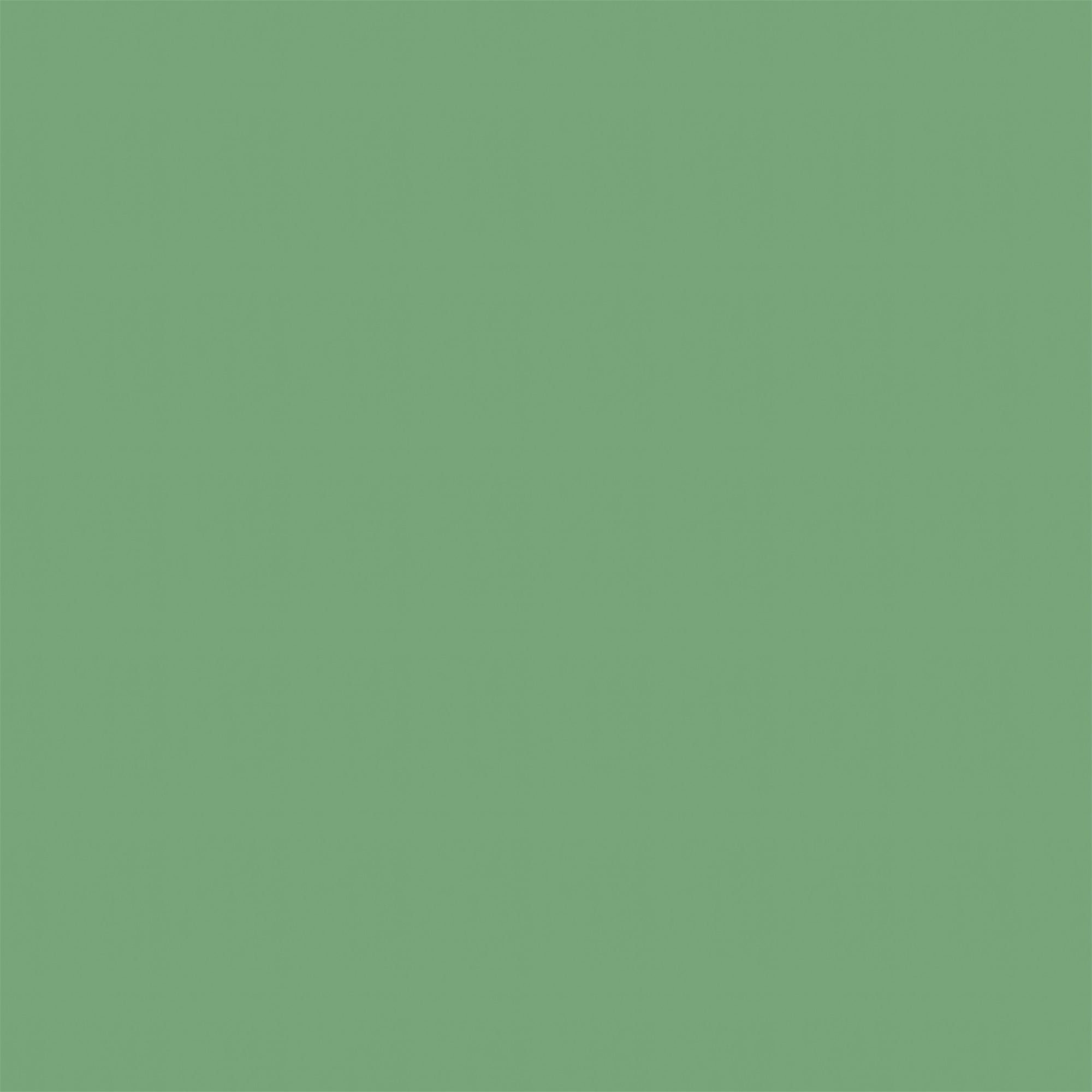 Green Photography Backdrop Fresh Meadow Green Backdrop GTY2-181