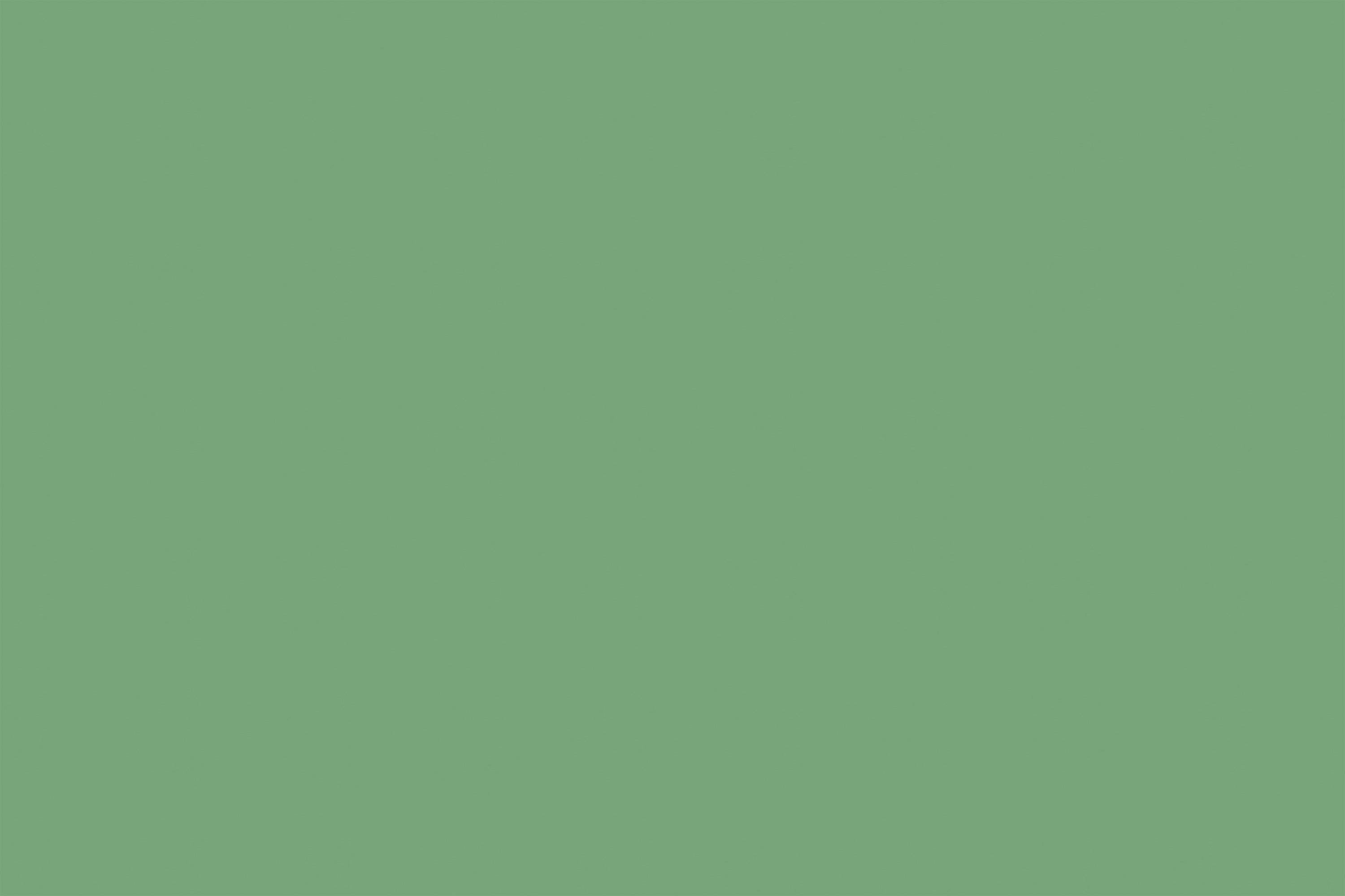 Green Photography Backdrop Fresh Meadow Green Backdrop GTY2-181