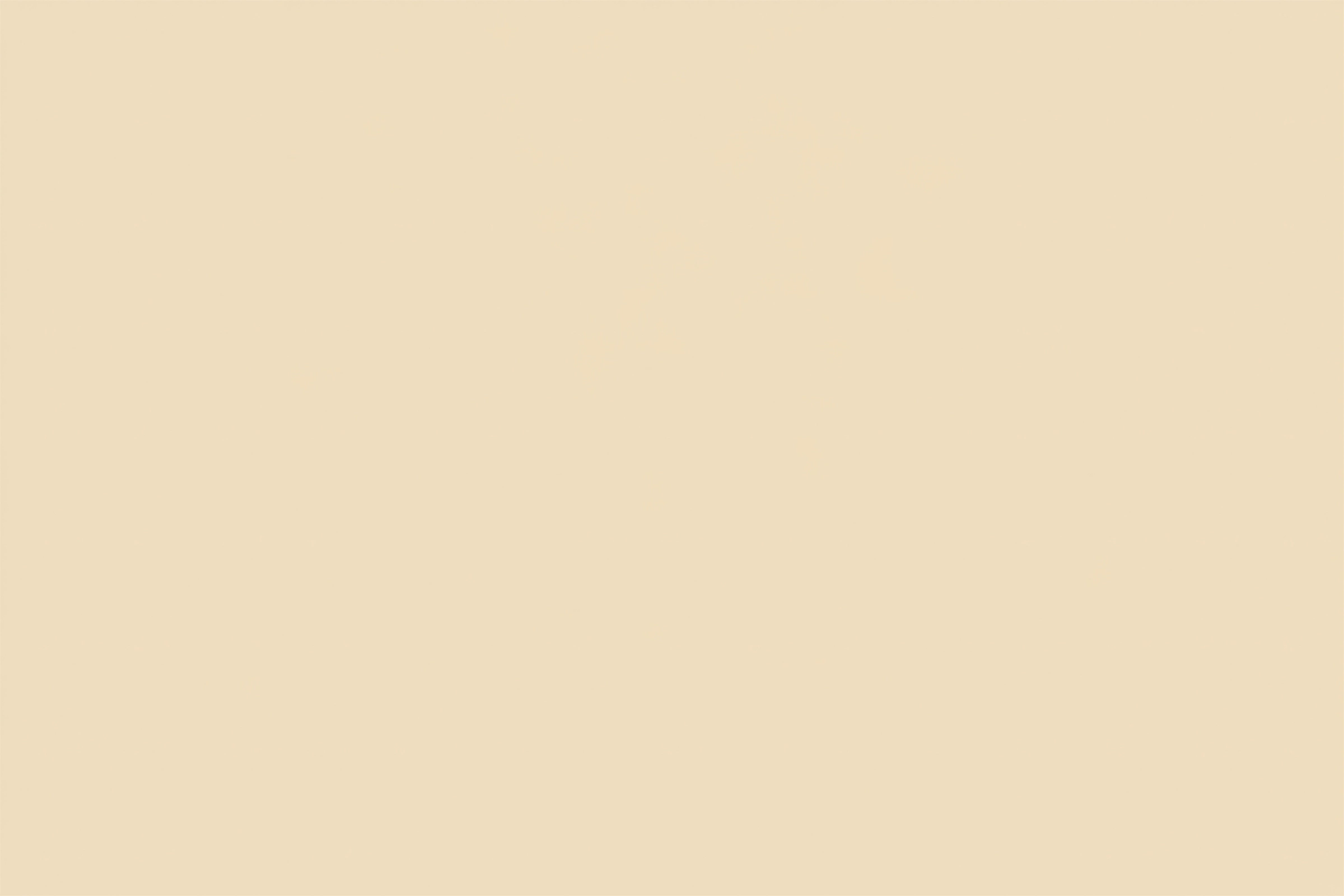 White Photo Backdrop Delicate Vanilla Fresh Backdrop GTY2-187