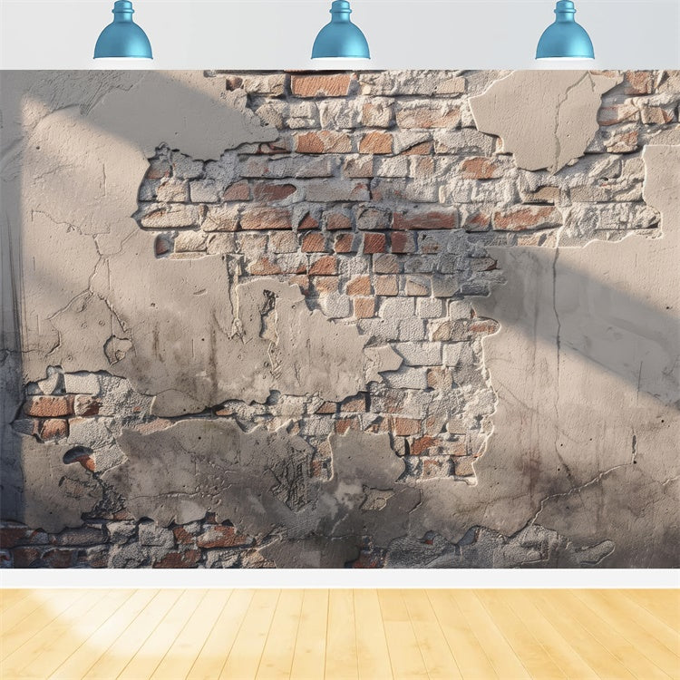 School Portrait Backdrops Rustic Aged Brick Texture Backdrop GTY3-102
