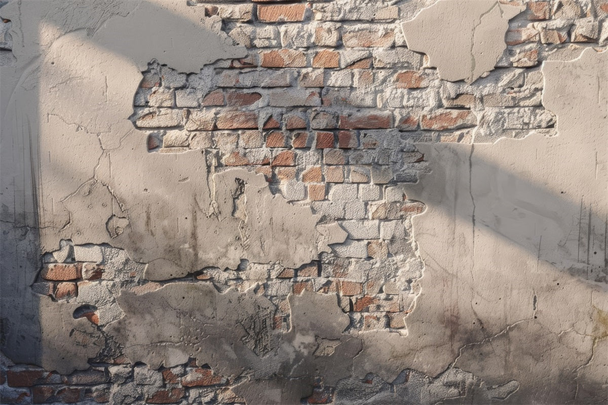 School Portrait Backdrops Rustic Aged Brick Texture Backdrop GTY3-102