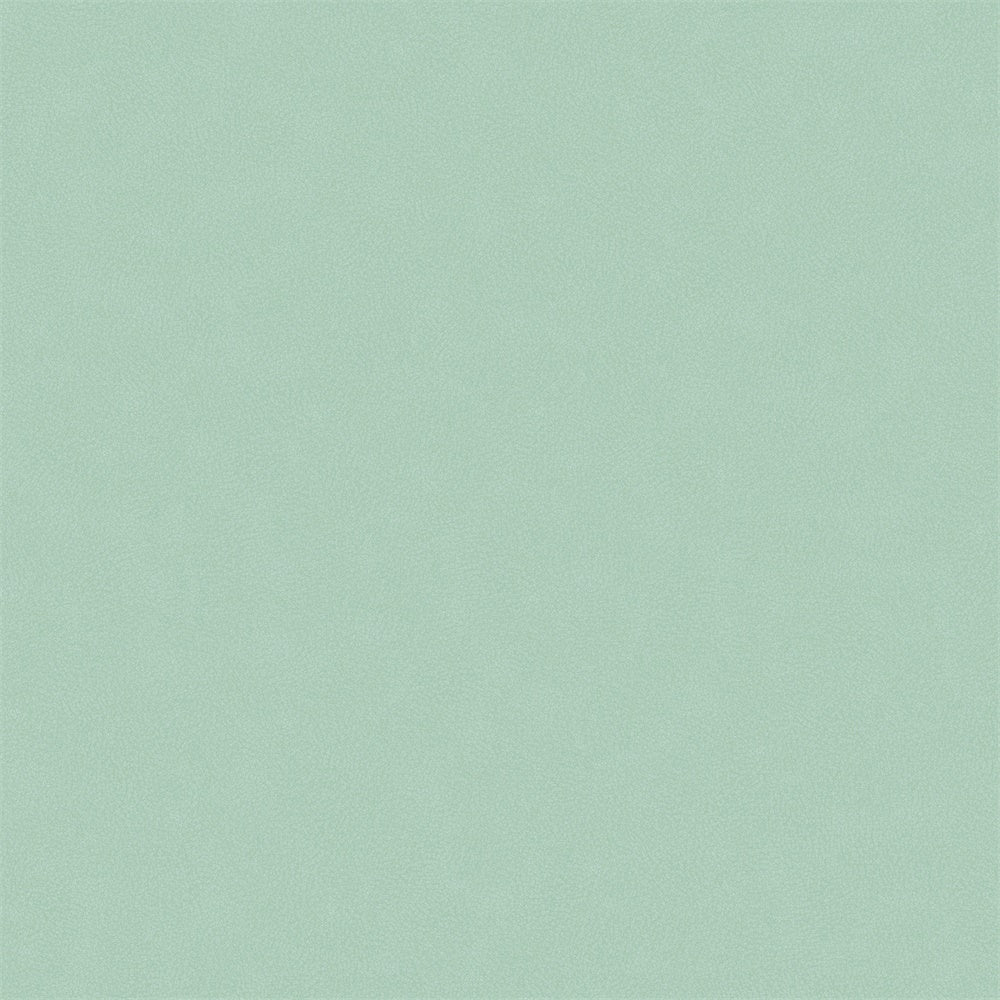 Light Green Backdrop Soft Mint Pastel Texture Backdrop GTY3-105
