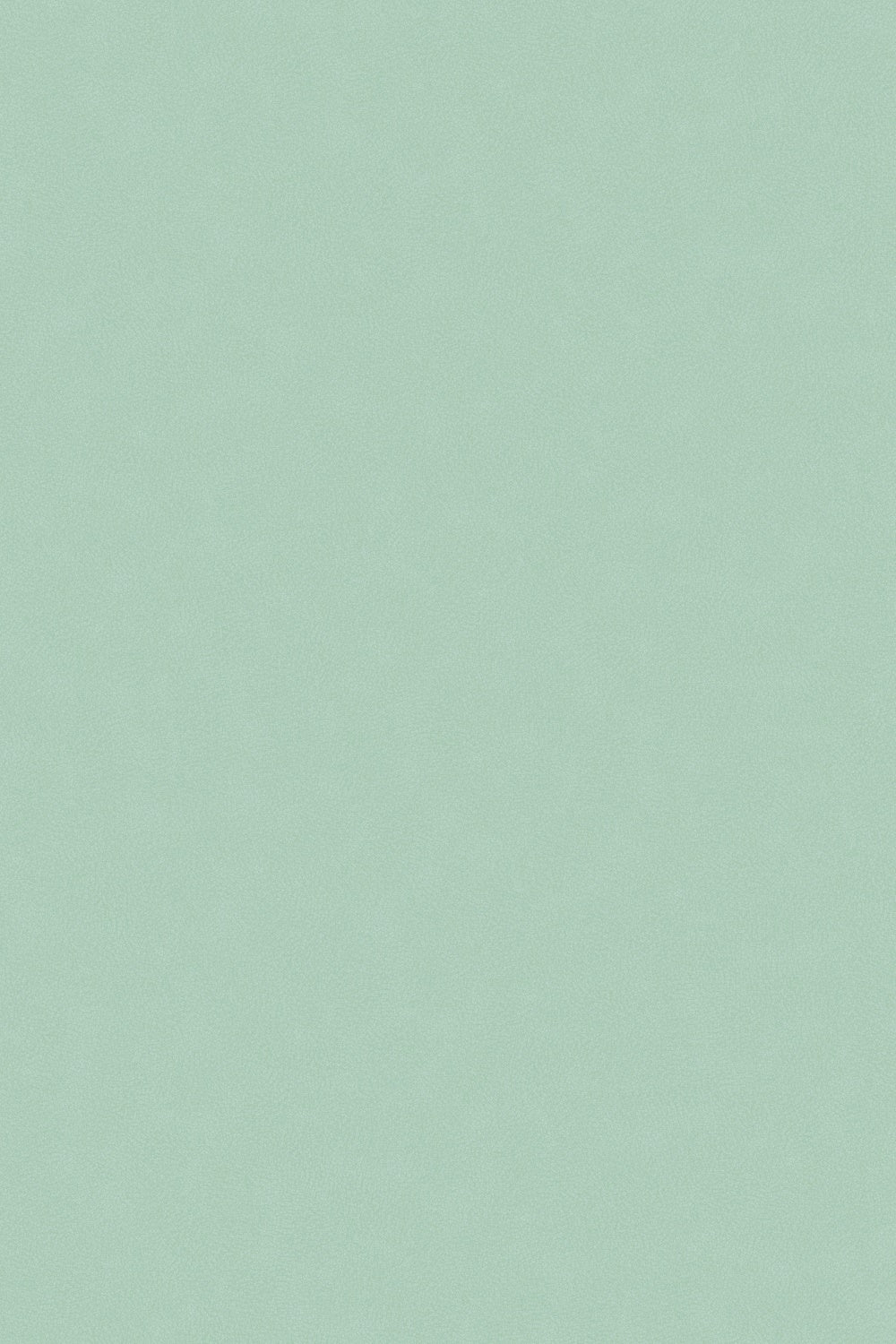 Light Green Backdrop Soft Mint Pastel Texture Backdrop GTY3-105