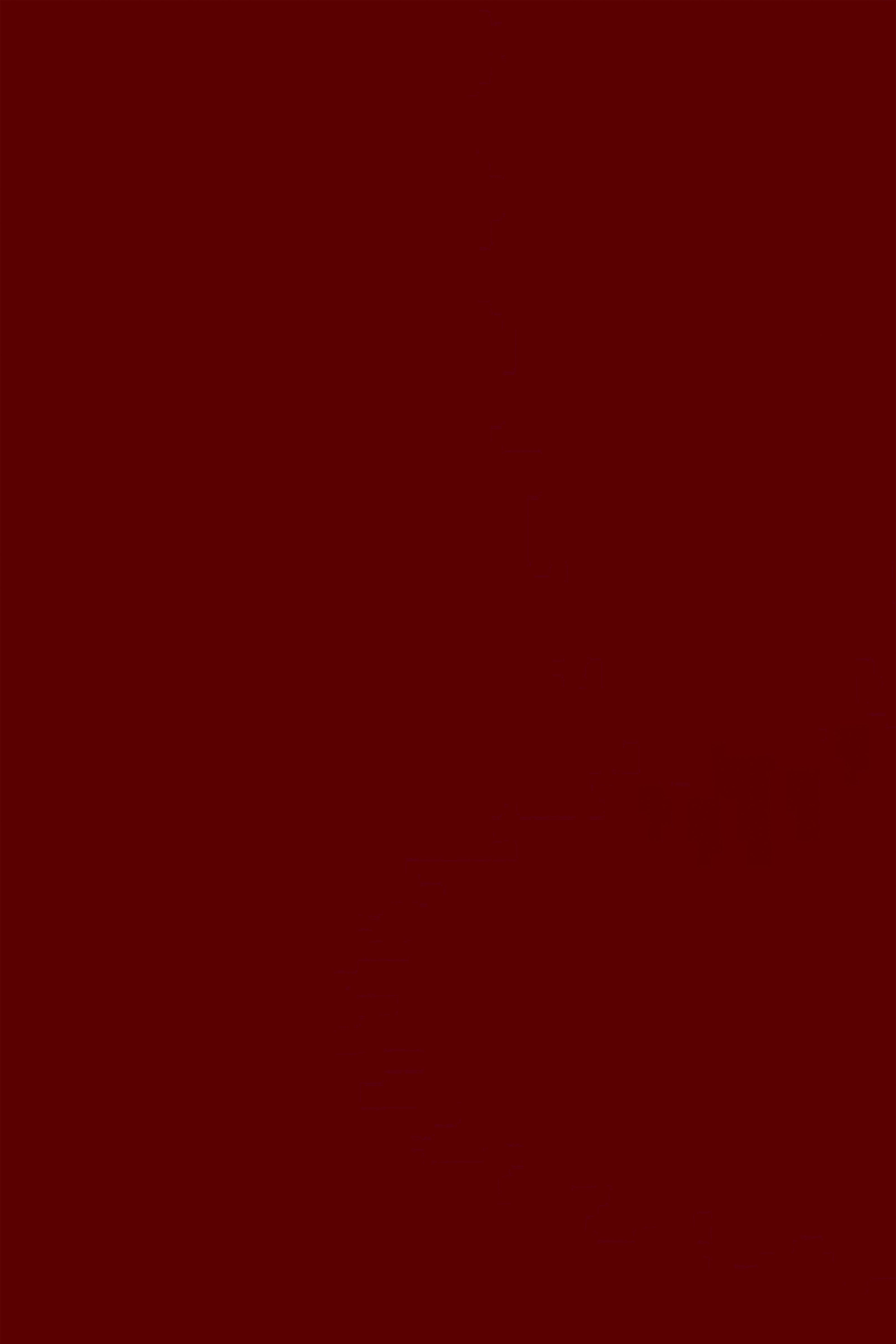Red Backdrop Deep Wine Red Photography Backdrop GTY3-325