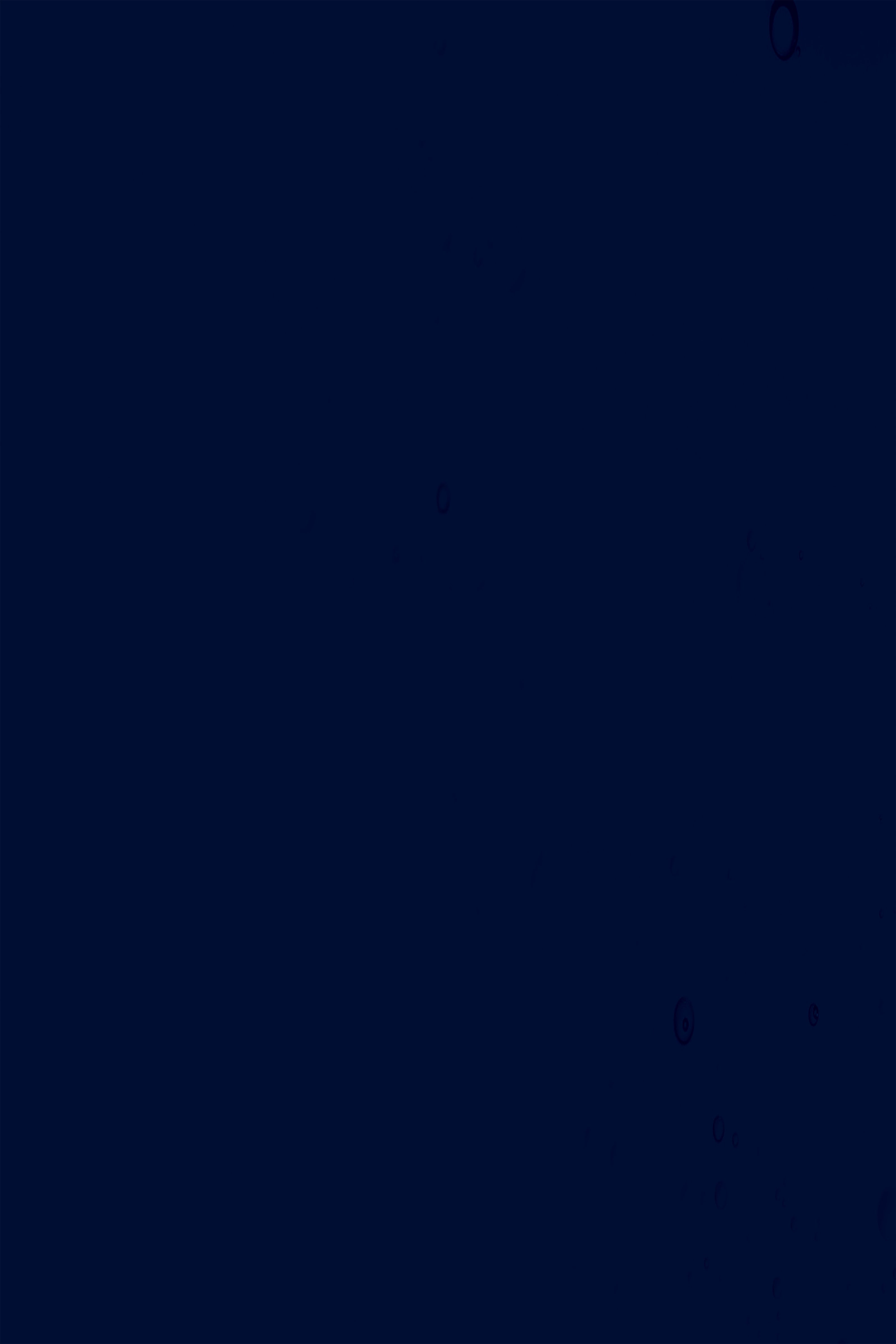 Blue Backdrop Deep Navy Solid Studio Backdrop GTY3-343