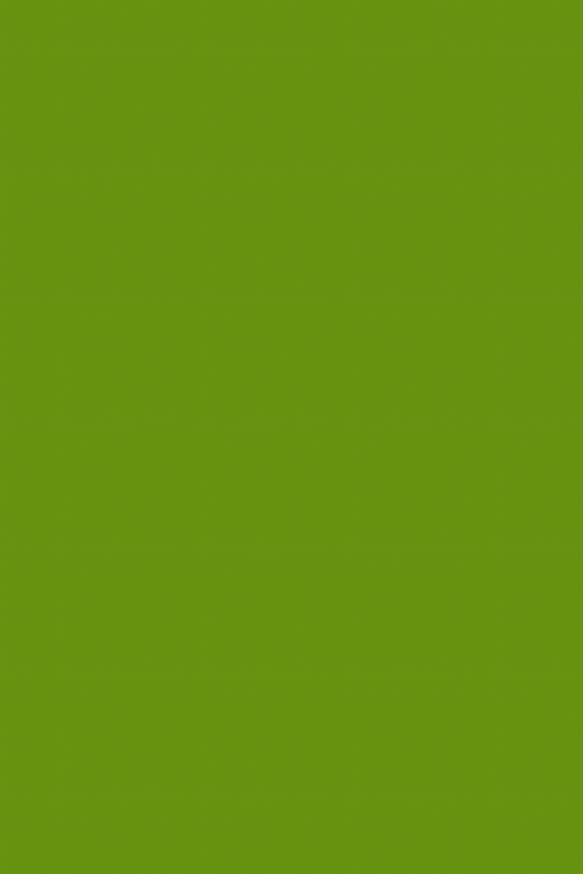 Professional Graduation Photo Backdrop Bright Grass Tone Backdrop GTY3-344