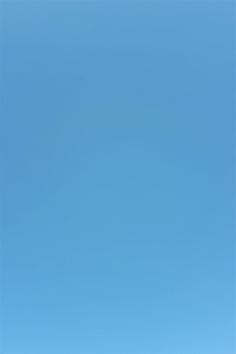 Blue Graduation Backdrop Vibrant Sky Blue Backdrop GTY3-348
