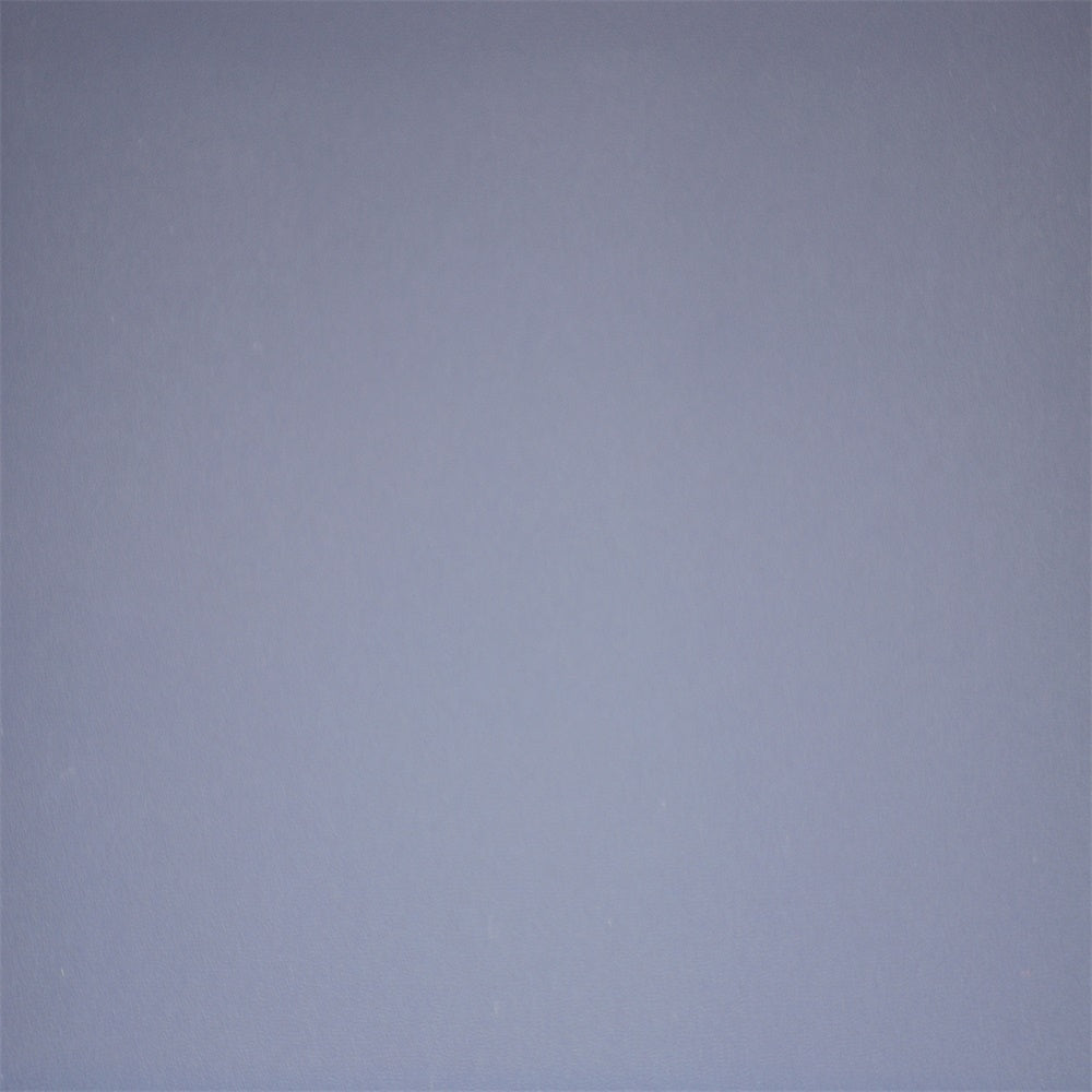 Backdrop For Headshot Pale Lilac Minimal Backdrop GTY3-368
