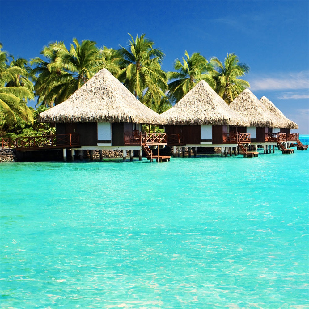 Tropical Backdrop Tropical Island Water Bungalow Summer Backdrop GTY3-383