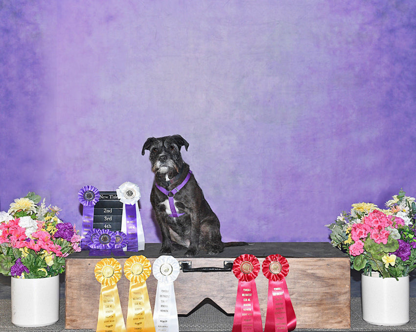 Purple Abstract Fine Art Studio Backdrop HF-0020