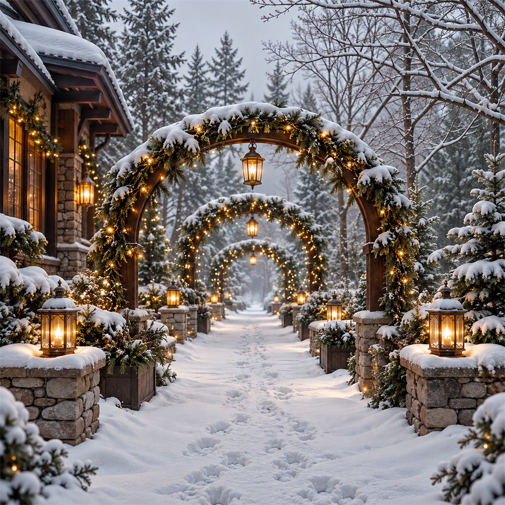 Christmas Arch Backdrop Snowy Stone Lantern Archway Xmas Photo Backdrops HQ610-154
