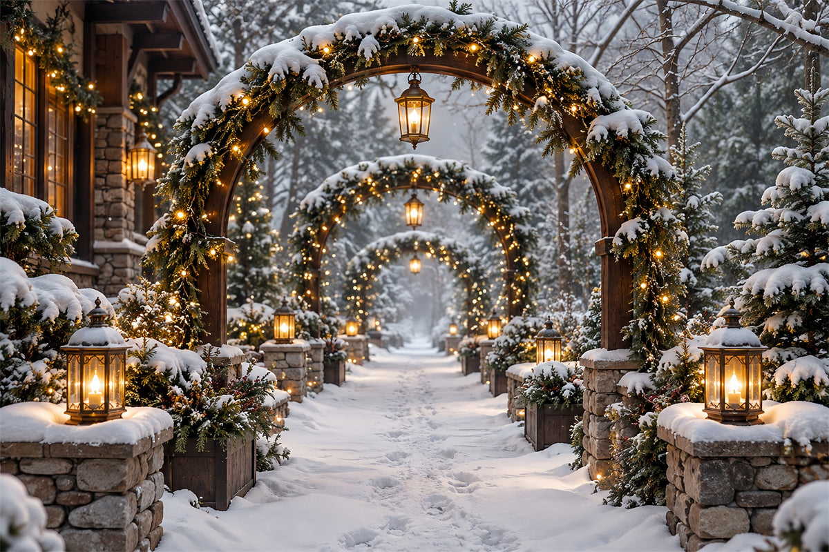 Christmas Arch Backdrop Snowy Stone Lantern Archway Xmas Photo Backdrops HQ610-154
