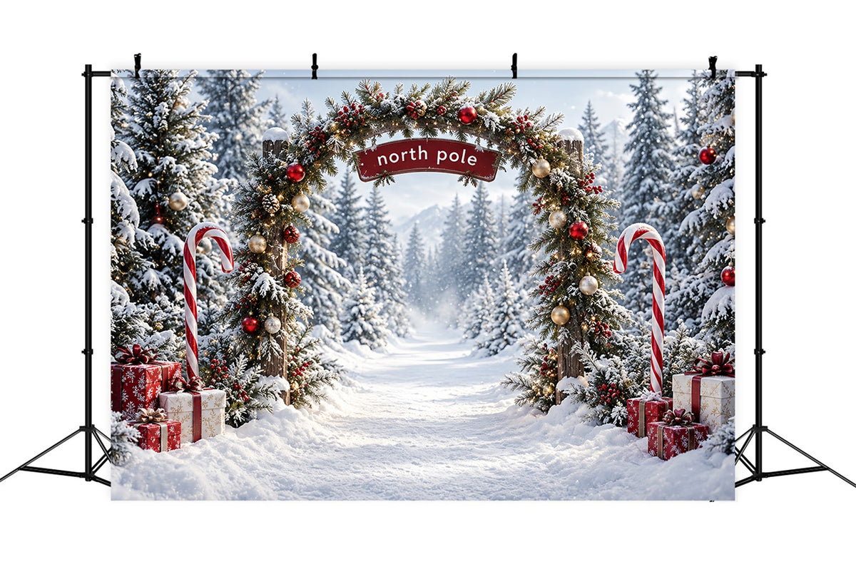 North Pole Photo Backdrop Candy Cane Forest Entrance Christmas Winter Backdrop HQ610-182