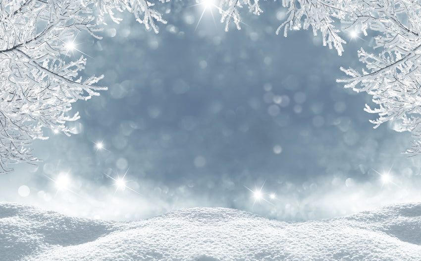 Winter White Snow Snowflake Bokeh Photo Booth Backdrop LV-1023