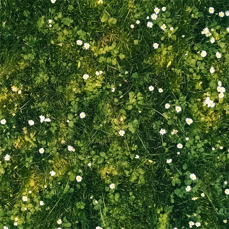 Floor Backdrop White Petals Green Meadow Floor Backdrop LXX2-229