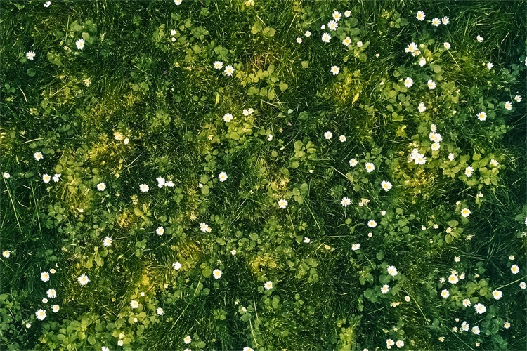 Floor Backdrop White Petals Green Meadow Floor Backdrop LXX2-229