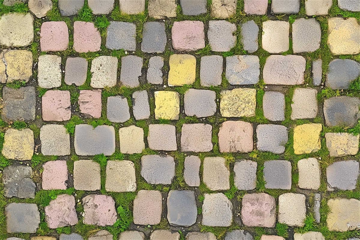 Floor Backdrop Colorful Antique Stone Floor Backdrop LXX2-236