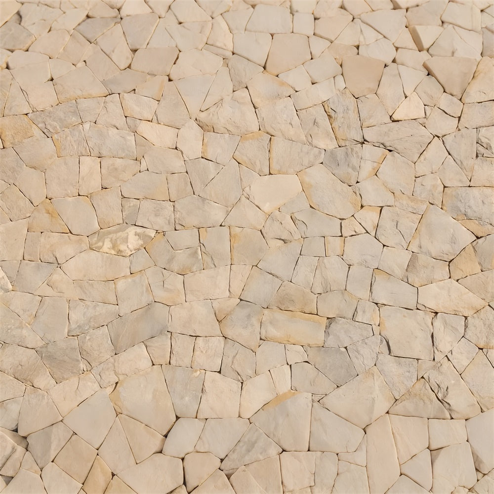 Floor Backdrops For Photography Warm Stone Slab Floor Backdrop LXX2-256