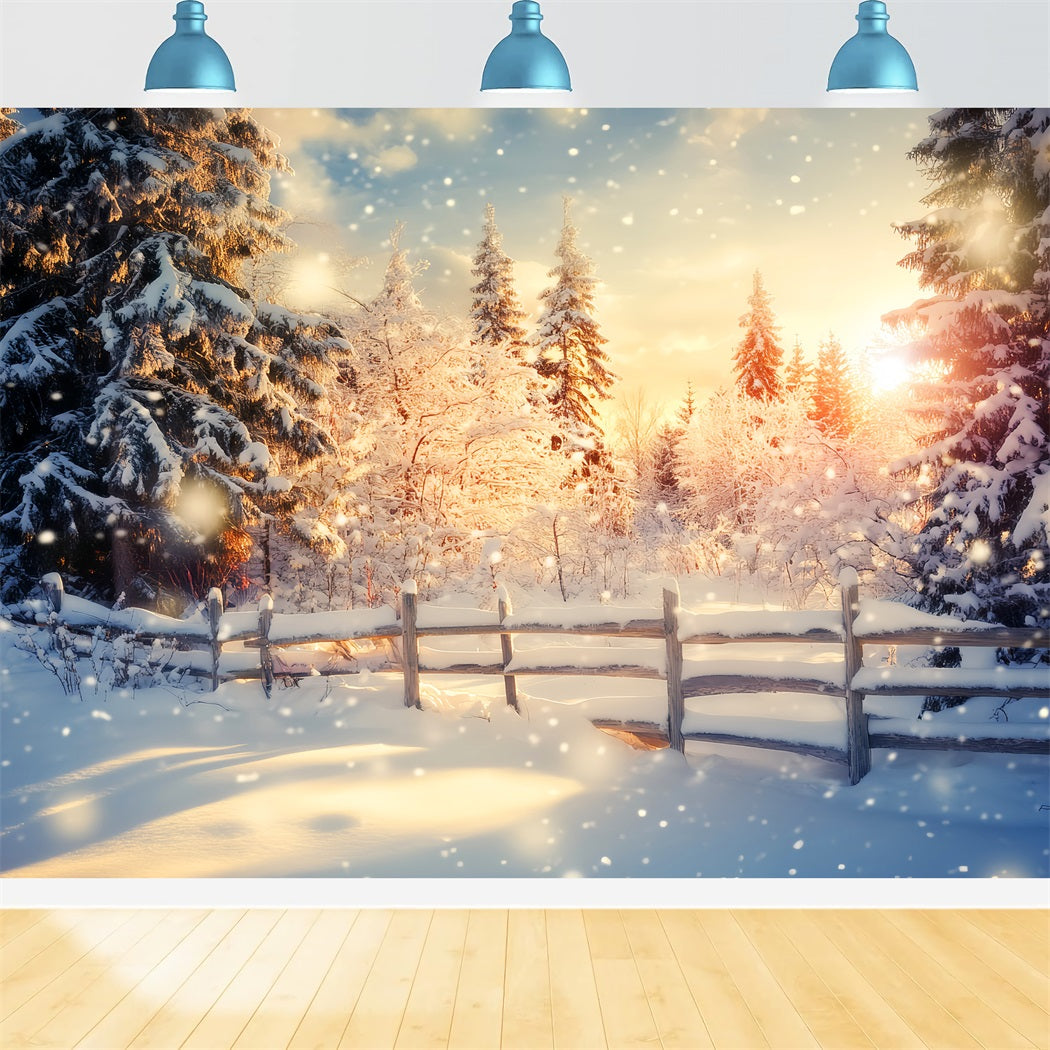 Winter Wonderland Backdrop Golden Sunrise Snow Forest Winter Backdrop LXX510-100