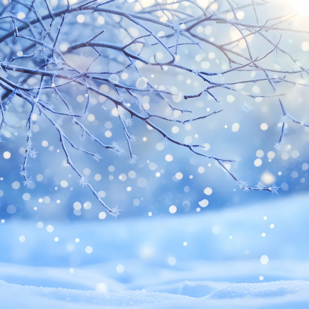 Winter Snow Backdrop Frosted Branch Snowflakes Glow Winter Photo Backdrops LXX510-80