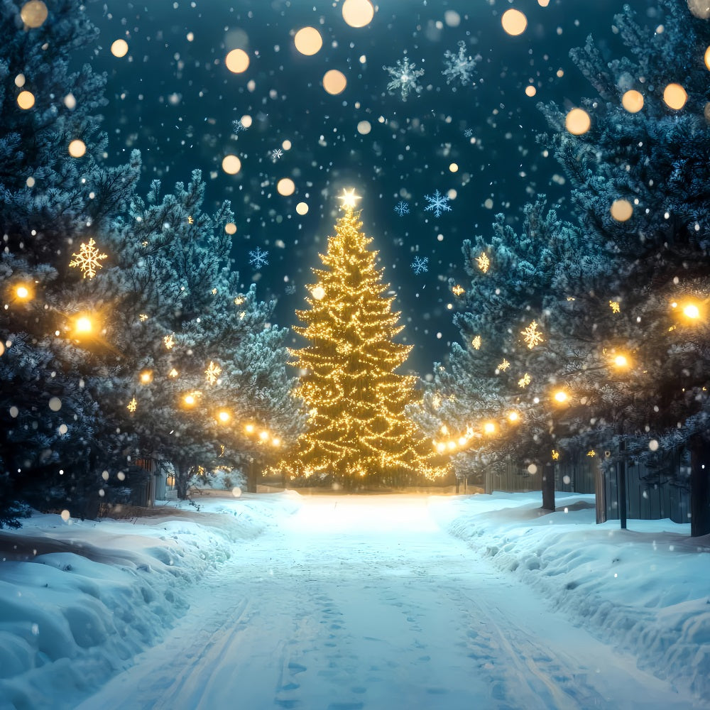 Winter Wonderland Backdrop Christmas Tree Light Pathway Winter Backdrops LXX510-81