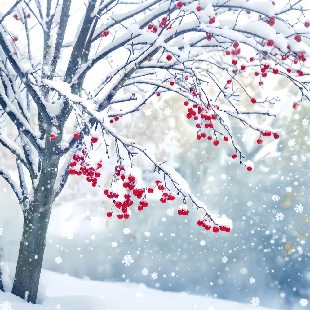 Winter Snow Backdrop Red Berry Snow Branches Winter Photo Backdrops LXX510-83