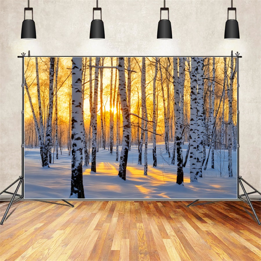 Winter Forest Backdrop Golden Sunrise Birch Wonderland Winter Backdrop LXX510-87