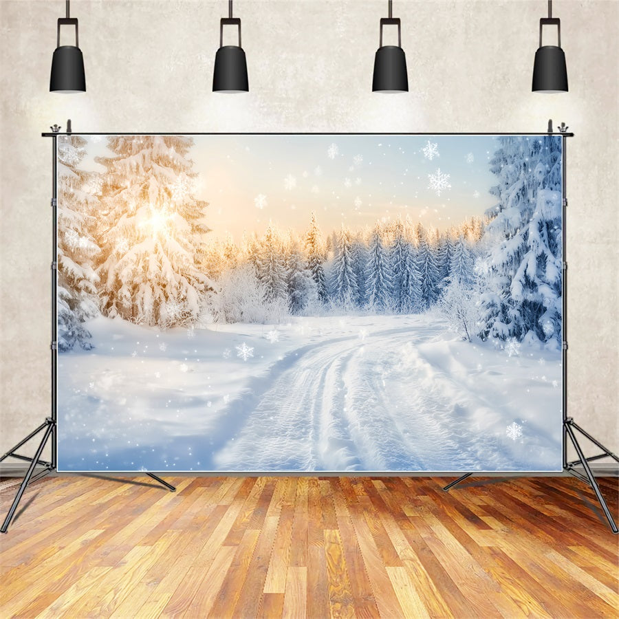 Winter Wonderland Backdrop Sparkling Forest Sunrise Trail Winter Backdrops LXX510-90