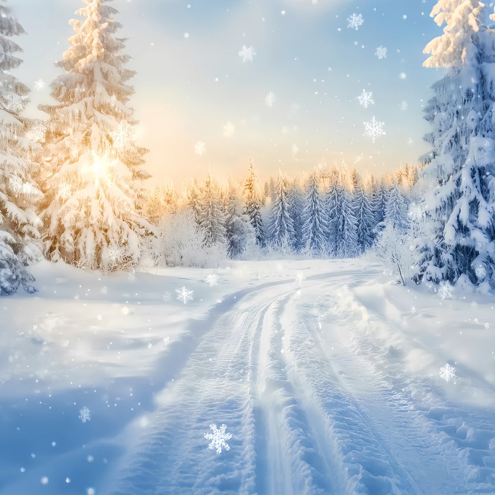 Winter Wonderland Backdrop Sparkling Forest Sunrise Trail Winter Backdrops LXX510-90