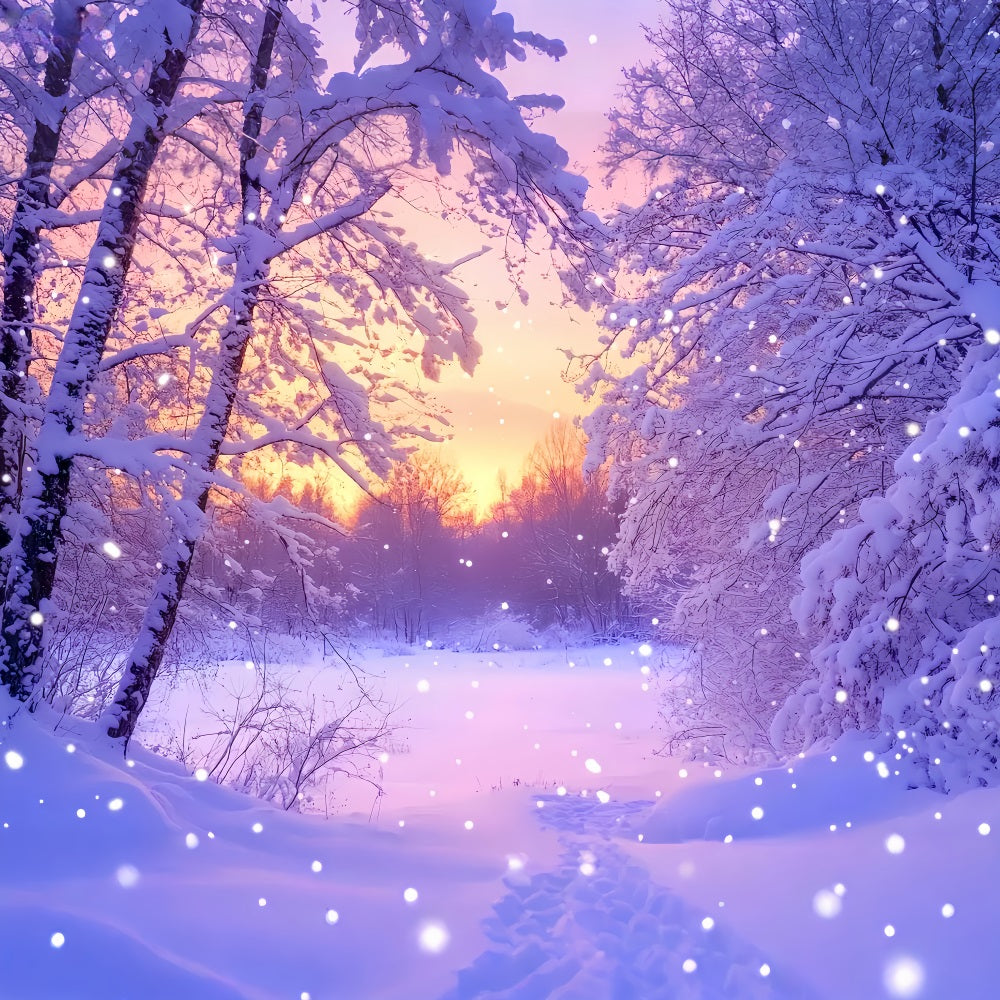 Winter Wonderland Backdrop Pink Sunrise Snow Forest Winter Backdrop LXX510-92