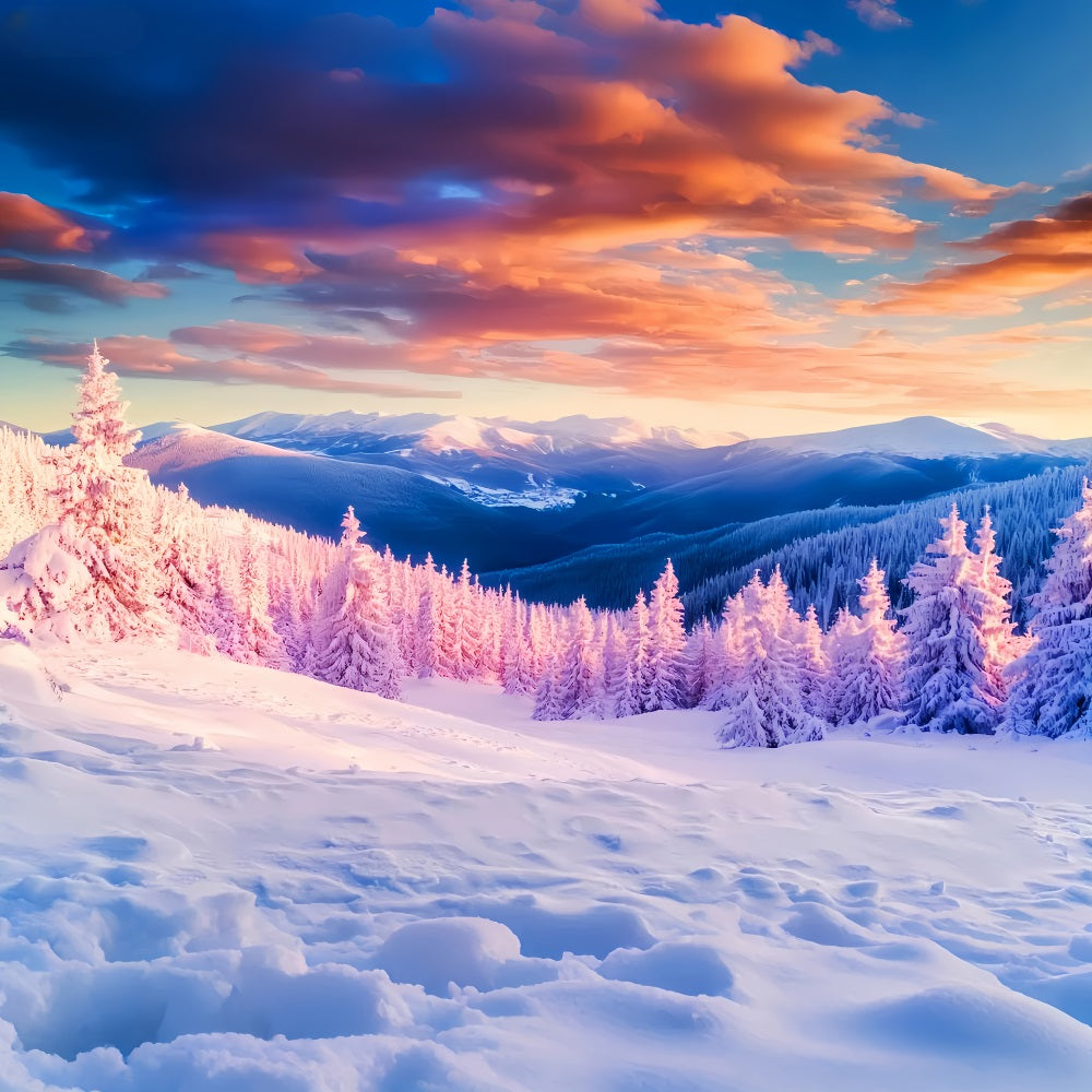 Winter Mountain Backdrop Golden Peaks Frost Valley Winter Backdrops LXX510-93