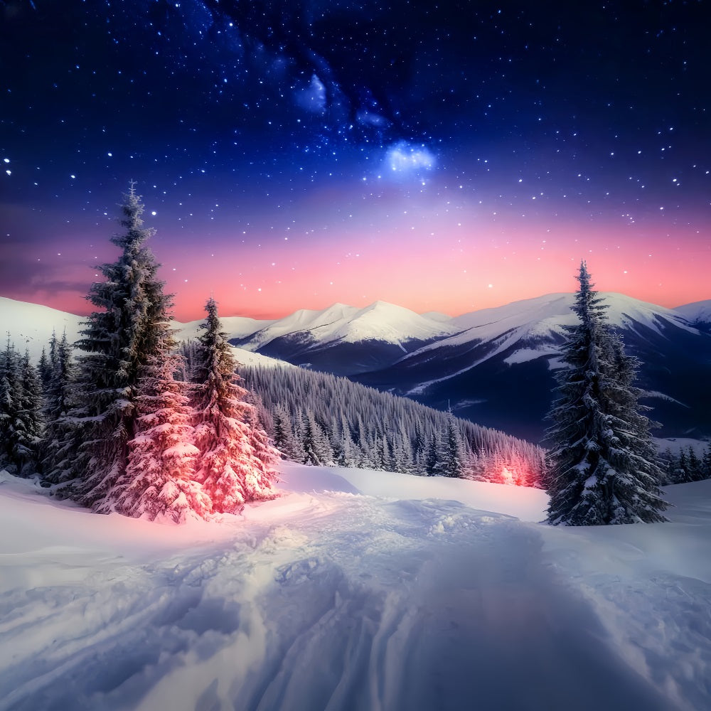 Winter Sky Backdrop Starlit Mountain Winter Glow Winter Backdrop LXX510-94