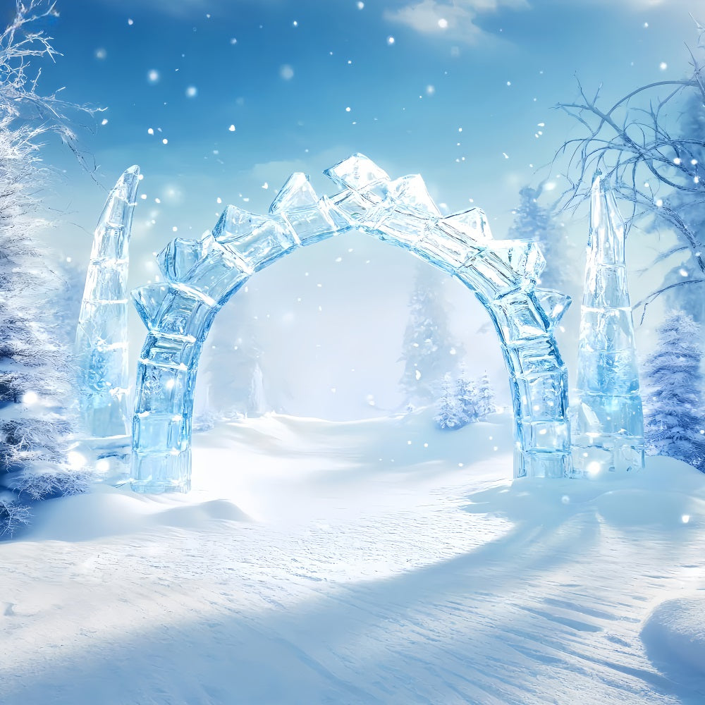 Wonderland Backdrop Crystal Ice Arch Path Winter Photo Backdrops LXX510-95