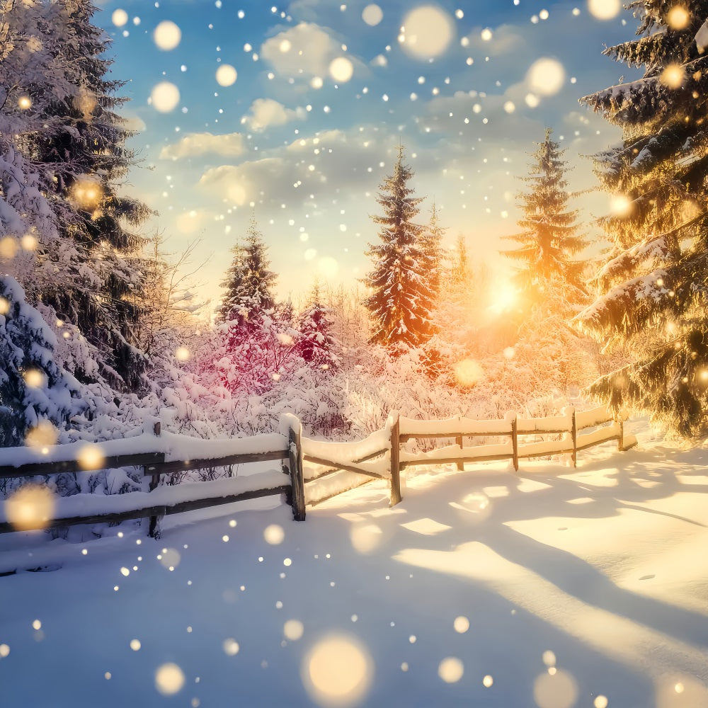 Wonderland Backdrop Sparkling Sunset Snow Fence Winter Photo Backdrops LXX510-99