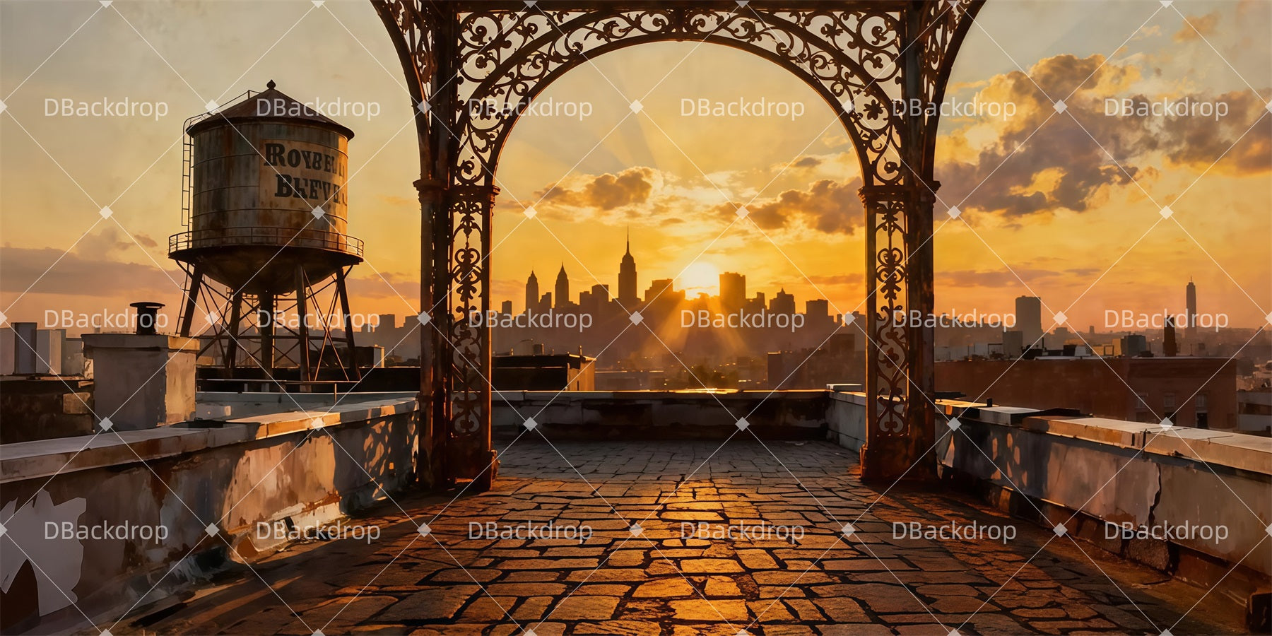 Theater Backdrop Rooftop Dawn Glow Professional Stage Backdrops LXX511-T25