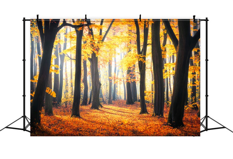Fall Forest Backdrop Rustic Leaves Woodland Backdrop LXX57-149