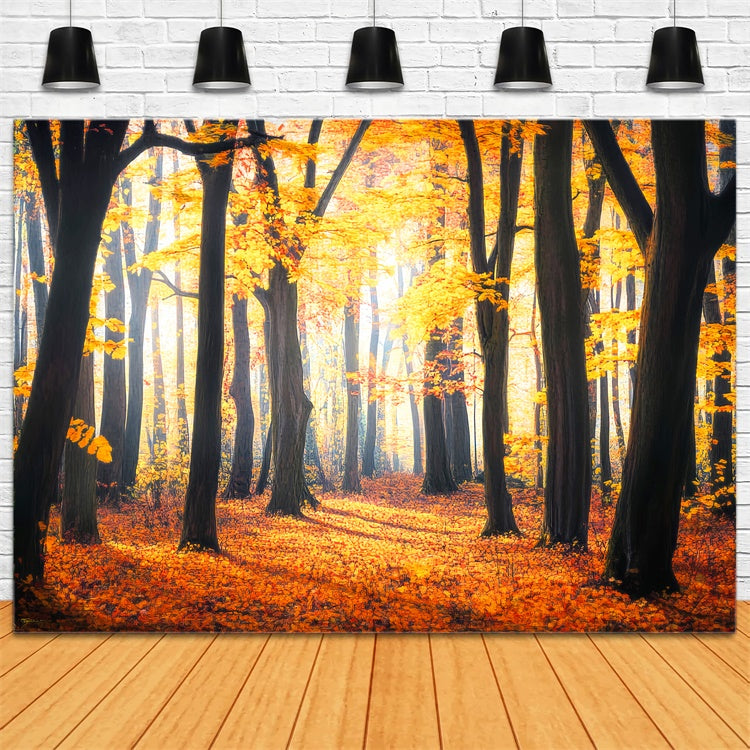 Fall Forest Backdrop Rustic Leaves Woodland Backdrop LXX57-149