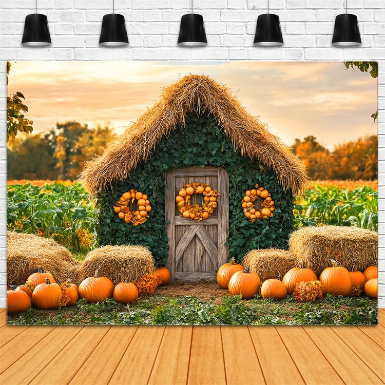 Autumn Photo Backdrop Pumpkin Patch Cottage Backdrop LXX57-154