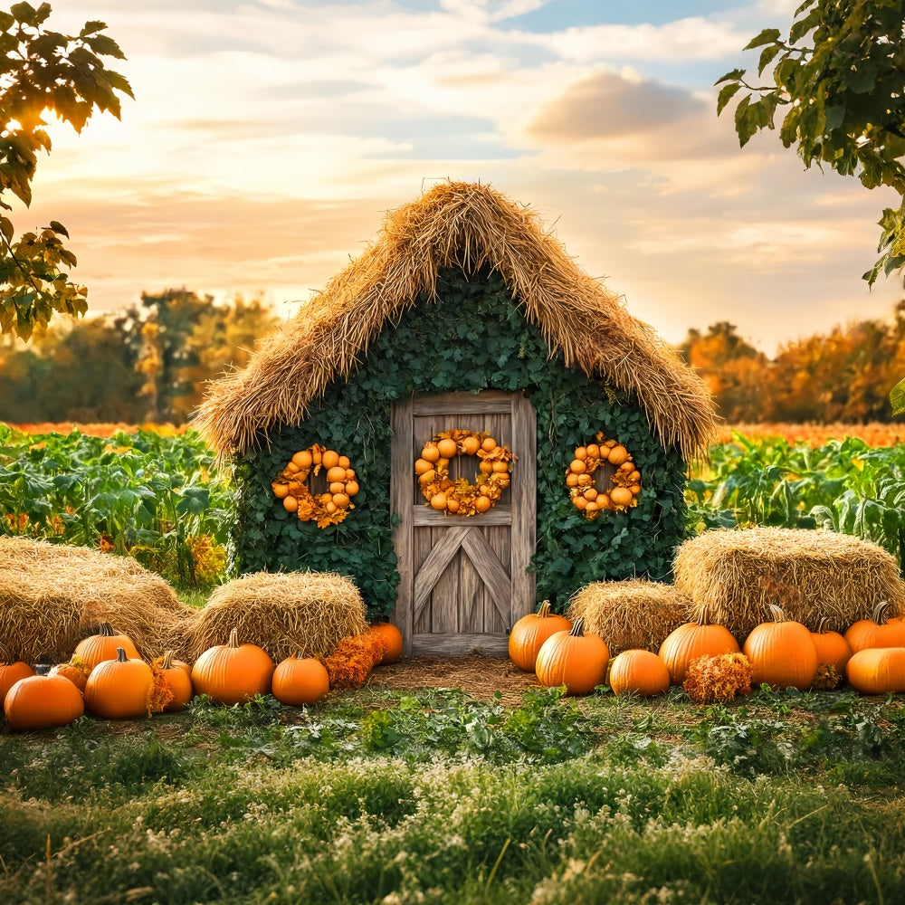 Autumn Photo Backdrop Pumpkin Patch Cottage Backdrop LXX57-154