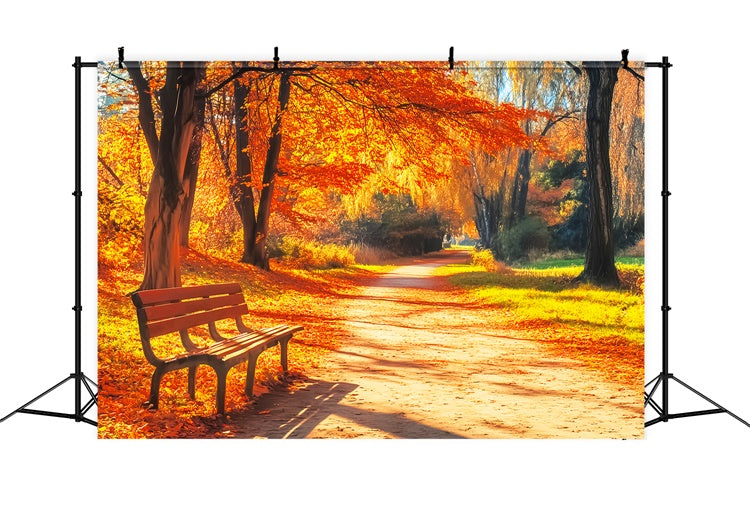 Fall Photoshoot Backdrop Bench Woodland Path Backdrop LXX57-164