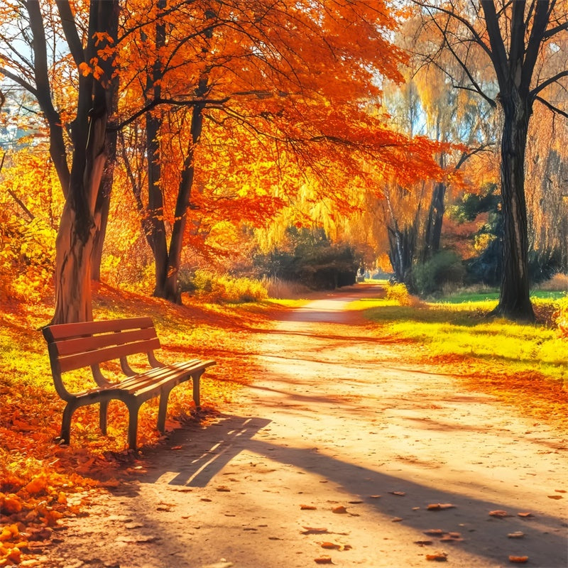 Fall Photoshoot Backdrop Bench Woodland Path Backdrop LXX57-164