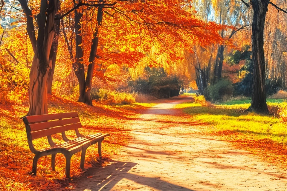 Fall Photoshoot Backdrop Bench Woodland Path Backdrop LXX57-164