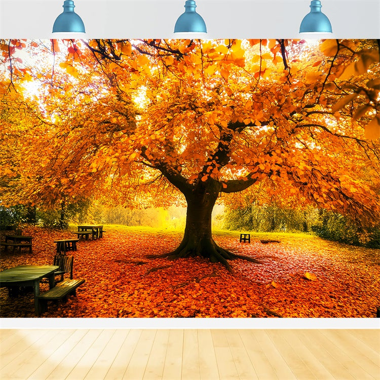 Autumn Leaves Backdrop Fall Canopy Backdrop Backdrop LXX57-177