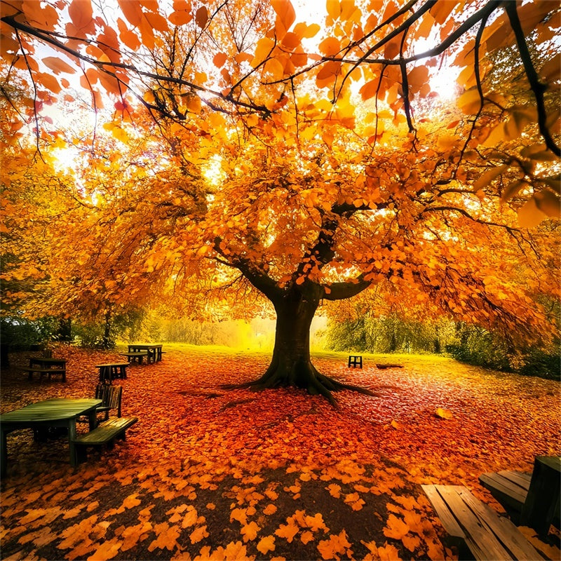 Autumn Leaves Backdrop Fall Canopy Backdrop Backdrop LXX57-177