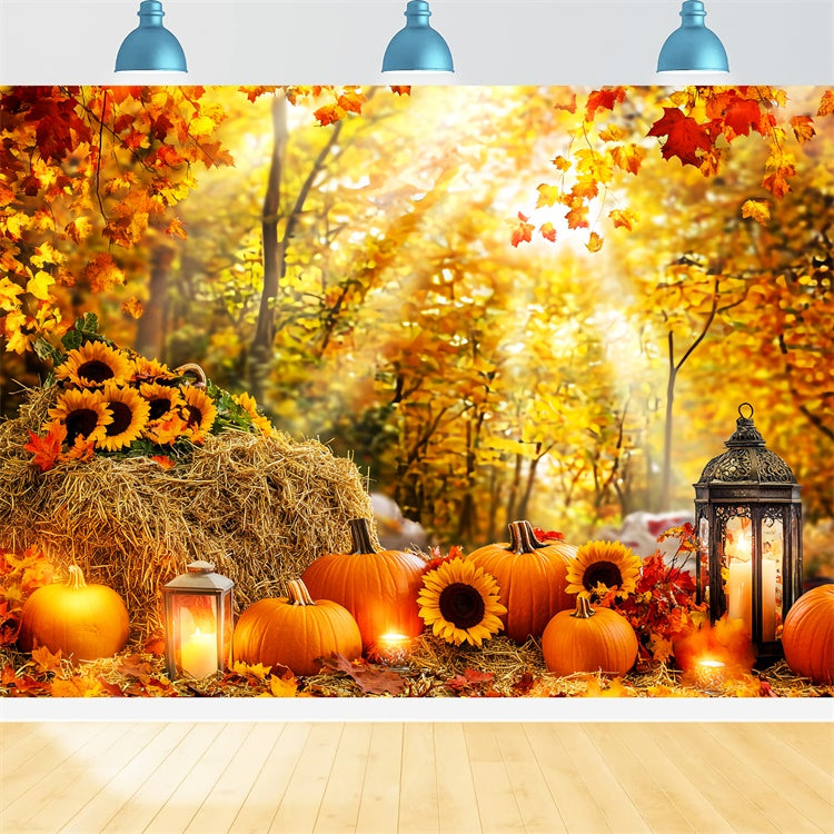 Fall Forest Backdrop Pumpkin Glow Forest Backdrop LXX57-178