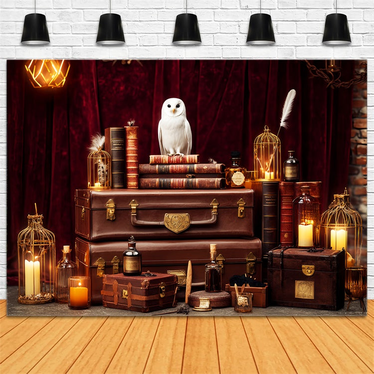 Retro Backdrop Mystical Owl Books Vintage Photo Backdrop LXX57-192